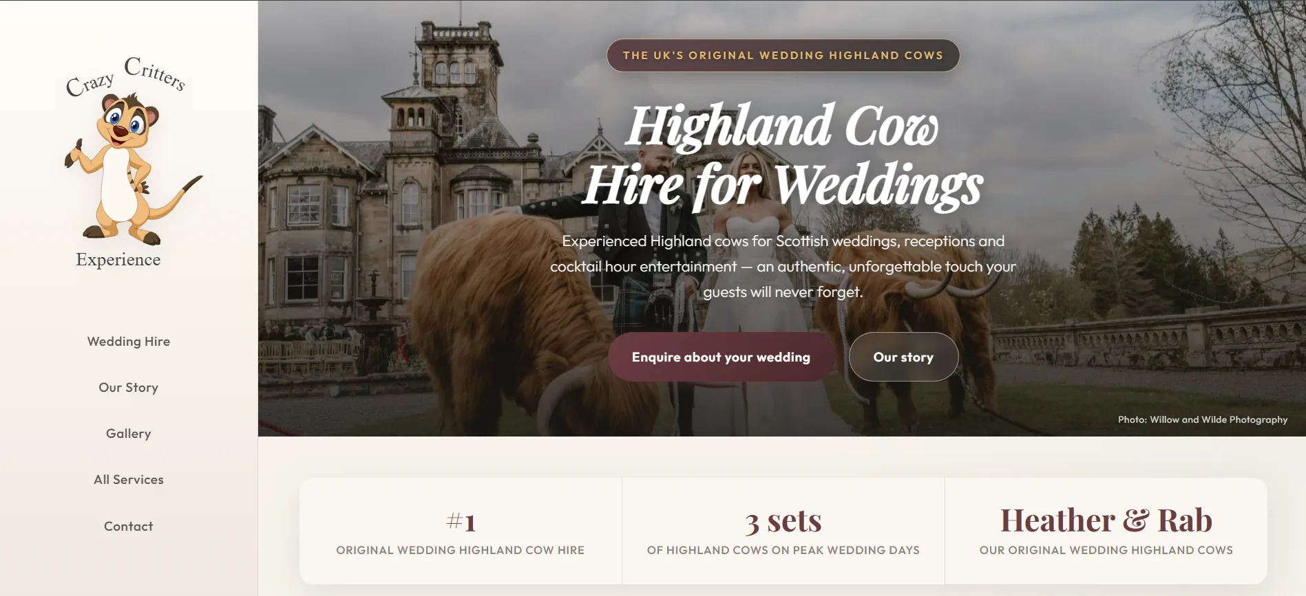 Crazy Critters Highland cow hire